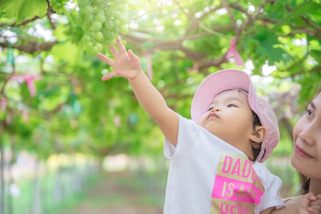 ブドウ畑のアジア人の母と少女ハッピータイム家族台湾の人々田舎のママと赤ちゃん