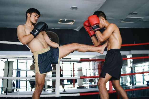 Photo asian muaythai fighter kicking with foot to stomach enemy on ring boxing