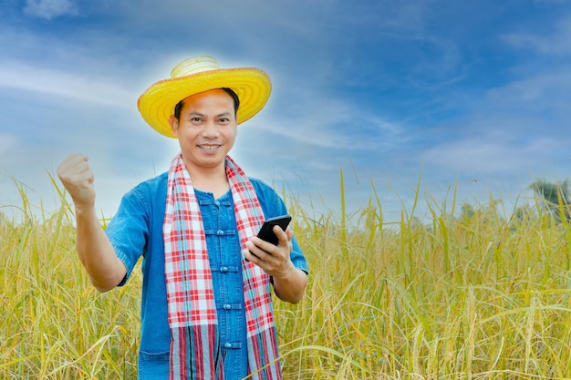 Азиатские крестьяне в мантиях и шляпах в поле золотых рисовых полей