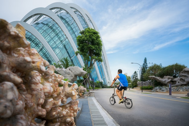 Asian people riding bicycles in park