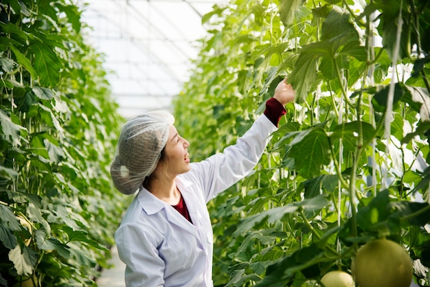 Photo asian scientist studying plant leaves