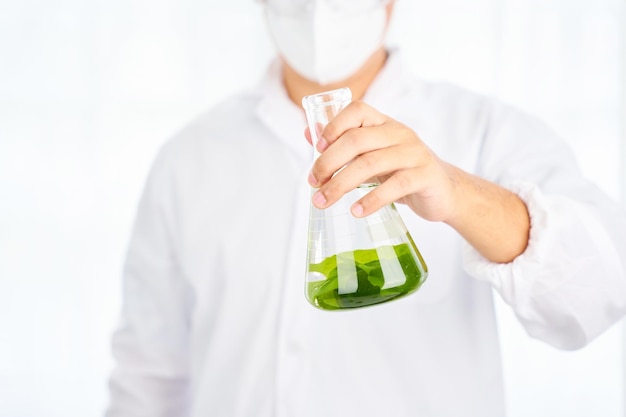 Asian scientist with science research biology with seaweed or kelp in the laboratory background