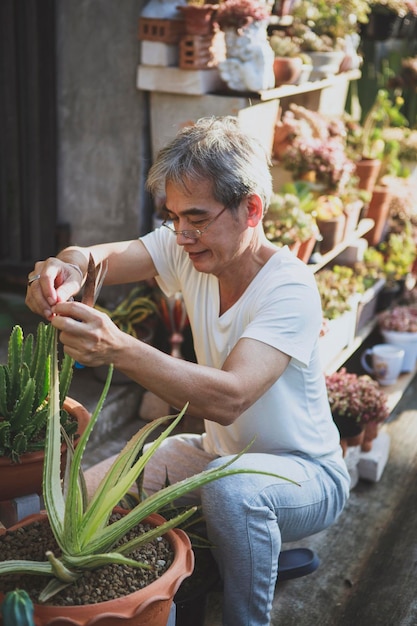 집 정원에서 즙이 많은 식물을 돌보는 아시아 노인