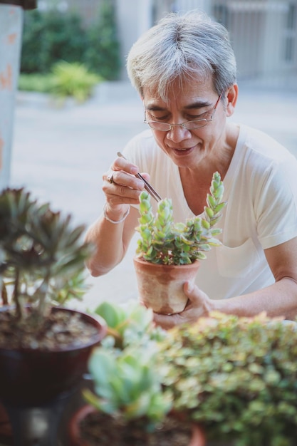 Foto uomo anziano asiatico che si prende cura della pianta succulenta nel giardino di casa