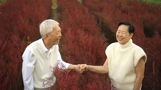 赤い花の畑で手をつないで笑うアジアのセニロカップル