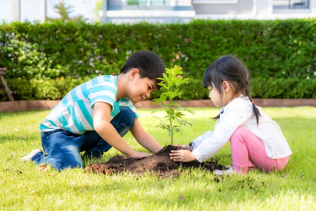 Asian sibling brother and sister planting young tree on black soil together as save world in garden at house on summer day. Planting tree.