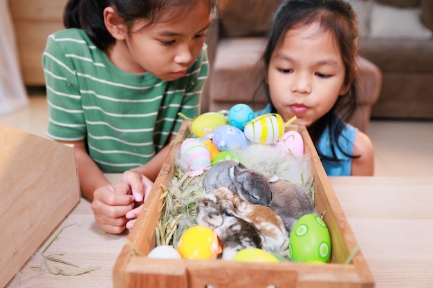 Photo asian siblings children are playing with baby bunny and decorating easter eggs preparing for easter at home together with fun happy family happy easter happy holiday
