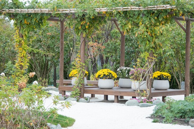 Foto fiori di strada in stile asiatico grigio con margherite o crisantemi