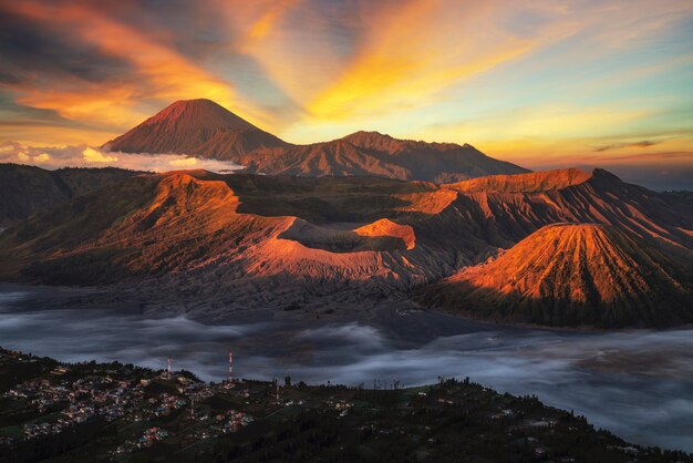 Viaggio asiatico del viaggiatore nell'azienda agricola del riso del terrazzo in bali