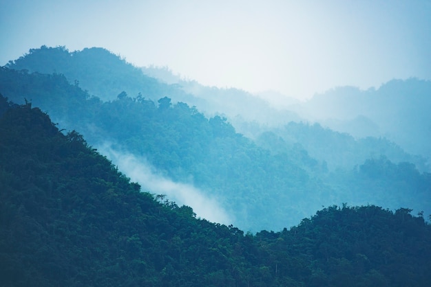 아시아 열대 우림, 자연보기 배경