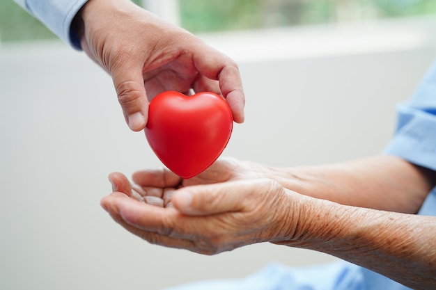 Asian woman doctor holding red heart for health in hospital