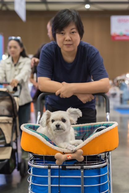 Asian woman and the dog in exhibit hall or expo