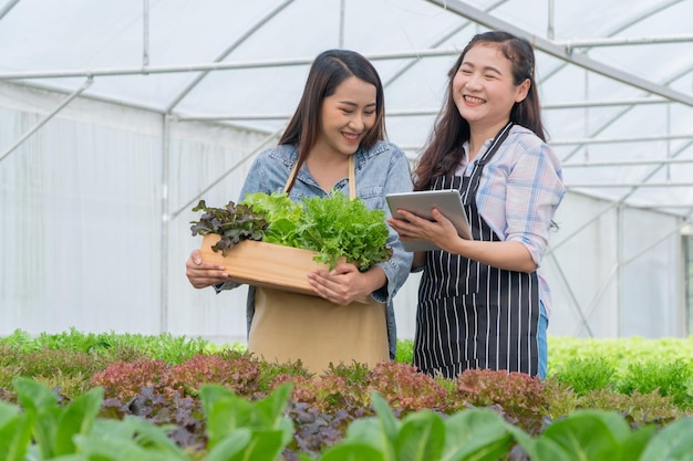 有機農場で新鮮な野菜サラダの野菜バスケットを保持しているアジアの女性農家