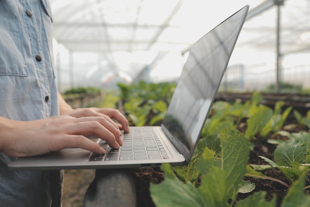 Foto agricoltore donna asiatica che utilizza la tavoletta digitale nell'orto in serra concetto di tecnologia agricola aziendale agricoltore intelligente di qualità