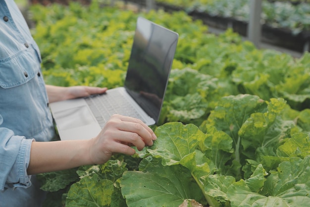 Asian woman farmer using digital tablet in vegetable garden at greenhouse Business agriculture technology concept quality smart farmer