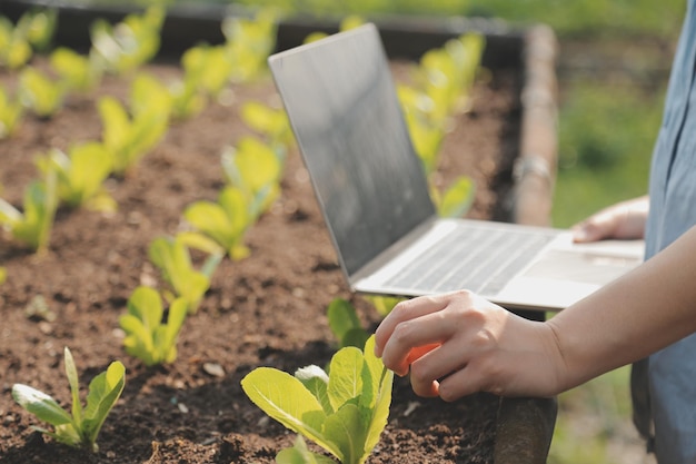 Foto agricoltore donna asiatica che utilizza la tavoletta digitale nell'orto in serra concetto di tecnologia agricola aziendale agricoltore intelligente di qualità