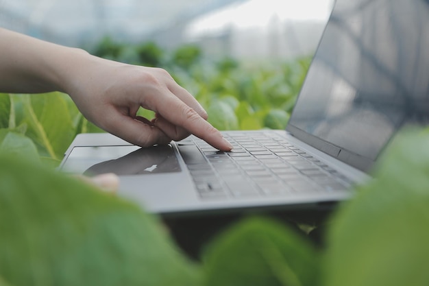 Asian woman farmer using digital tablet in vegetable garden at greenhouse Business agriculture technology concept quality smart farmer