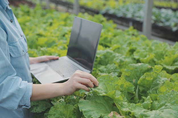 Asian woman farmer using digital tablet in vegetable garden at greenhouse Business agriculture technology concept quality smart farmer