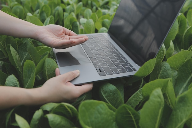 Foto agricoltore donna asiatica che utilizza la tavoletta digitale nell'orto in serra concetto di tecnologia agricola aziendale agricoltore intelligente di qualità