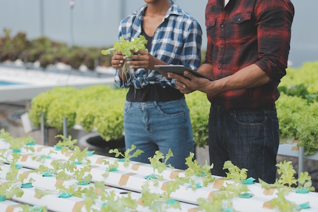 Asian woman farmer using digital tablet in vegetable garden at greenhouse Business agriculture technology concept quality smart farmer