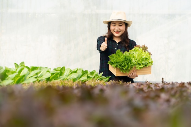 아시아 여성 농부들은 온실에있는 수경 식물 시스템 농장에서 신선한 샐러드 야채를 수확합니다.