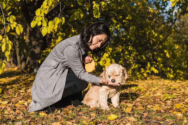 asian woman feeds her cocker spaniel in autumn park.