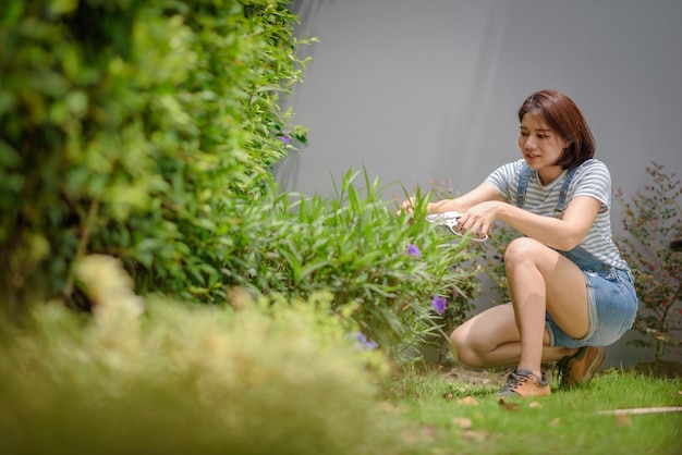 An Asian woman gardener is pruning plants in the garden