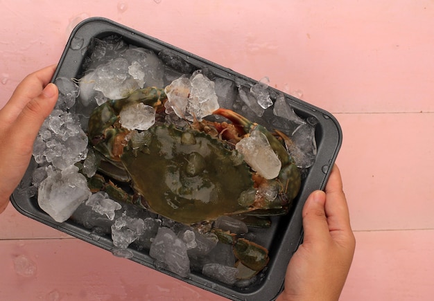 Asian Woman Hold Tray of Shiny Fresh Raw Crab on Ice