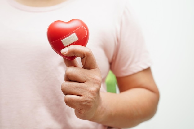 Asian woman holding human internal organ model donation charity volunteer concept