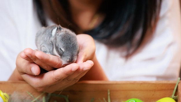 Asian woman holding tiny bunny in hand with tenderness and love\
people take care a pet and decorate home for easter happy easter\
happy holiday