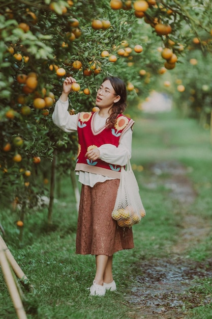 Asian woman joyfully picking oranges in the garden