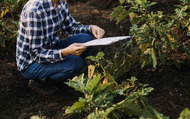 Foto agricoltore asiatico donna e uomo che lavora insieme in un'azienda agricola di verdure idroponica biologica utilizzando tablet ispeziona la qualità della lattuga nel giardino della serra agricoltura intelligente