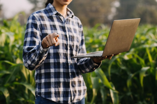 Asian woman and man farmer working together in organic hydroponic salad vegetable farm using tablet inspect quality of lettuce in greenhouse garden Smart farming