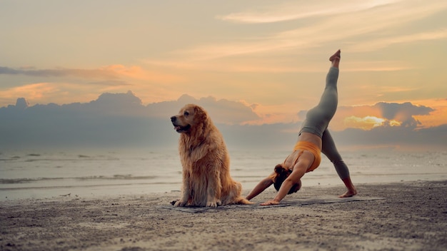 Asian woman performs yoga stretching exercises with dog at the beach. Golden Retriever lifestyle on summer holiday.