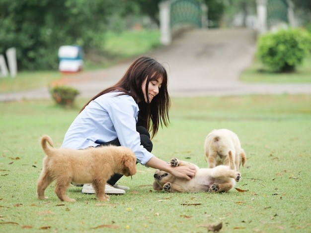 公園で子犬を演じるアジア人女性