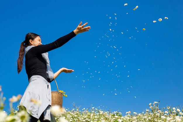 写真 アジアの女性は花の庭の青い空にクリサンテナムの花を散乱させます。