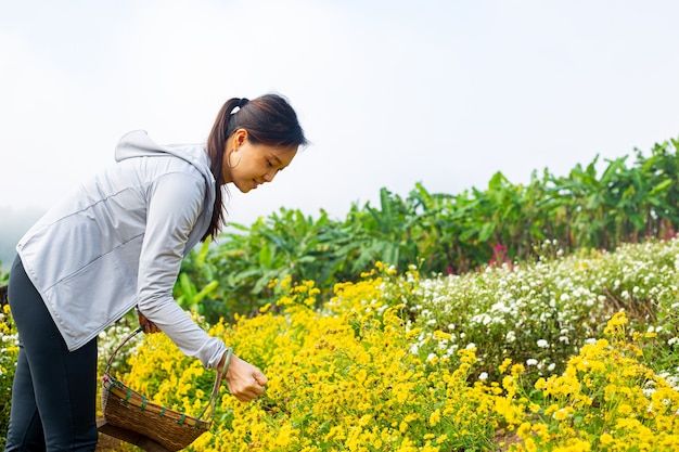 La donna asiatica seleziona il fiore in giardino