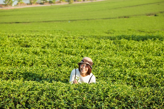 茶園のアジア人女性