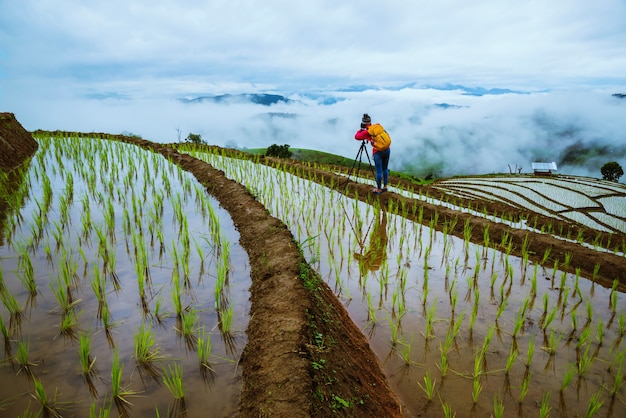 Asian woman travel nature. Travel relax. Walking take a photo on the field. in summer.