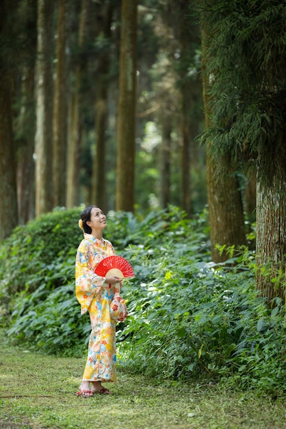 アジアの女性が竹の森で日本のキモノを着ようとする