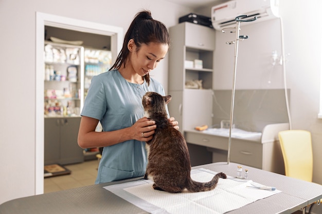 現代のクリニックで予約時にアジアの女性獣医がぶち猫を抱きしめる