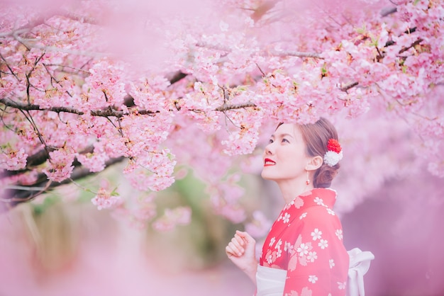 Asian woman wearing kimono with cherry blossoms, sakura in Japan.