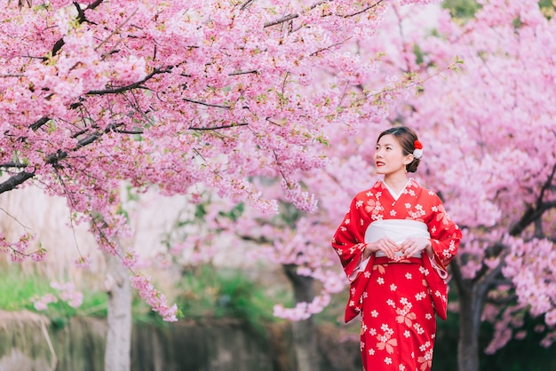 Asian woman wearing kimono with cherry blossoms,sakura in Japan.