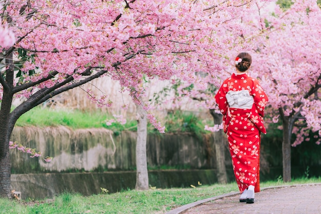 Kimono d'uso della donna asiatica con i fiori di ciliegia, sakura nel giappone.