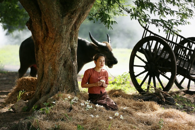 Asian woman wearing traditional thai costume in field, listening to radio next to buffalo