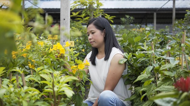 アジアの女性は花、パーゴラショップの木を気にしています。