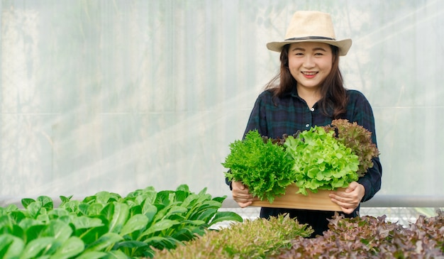 Mani asiatiche dell'agricoltore che portano le verdure organiche fresche in scatola di legno dall'azienda agricola di coltura idroponica