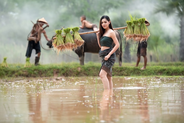 アジアの女性農夫