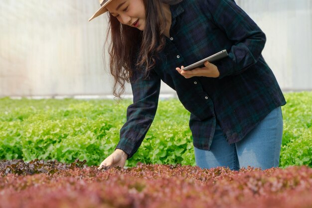 Photo asian women holding green oak in hydroponic vegetable farms and checking root