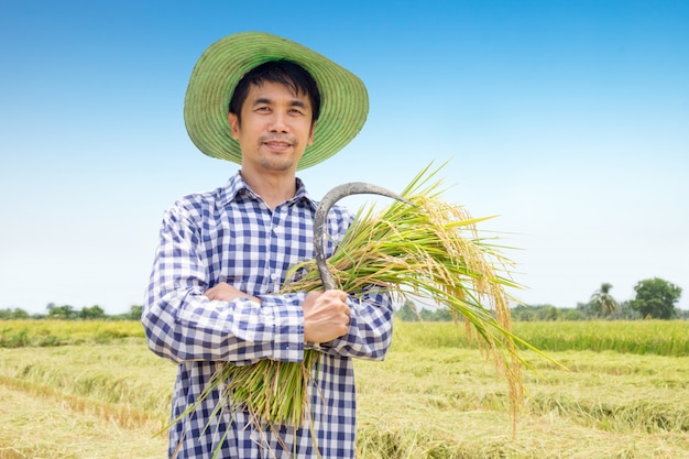 Asian Young farmer happy harvest paddy rice in a green rice field and blue sky